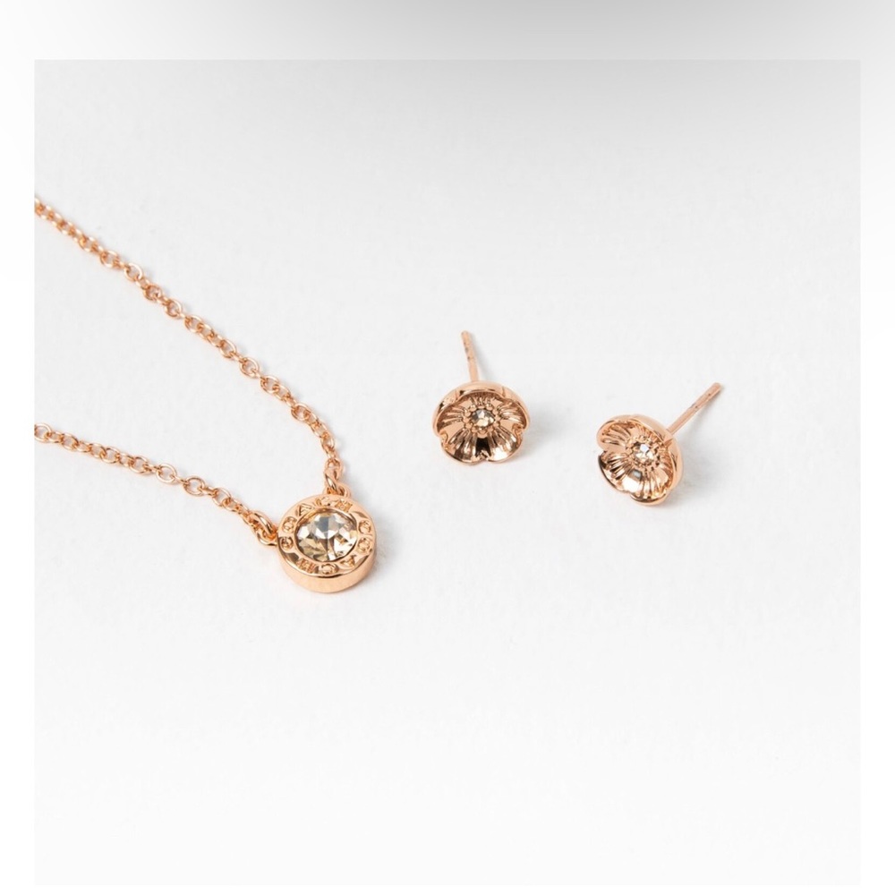 Coach Necklace and Earring Set